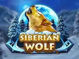Siberian wolf game cover