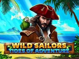 Wild Sailors Tides of Adventure game cover